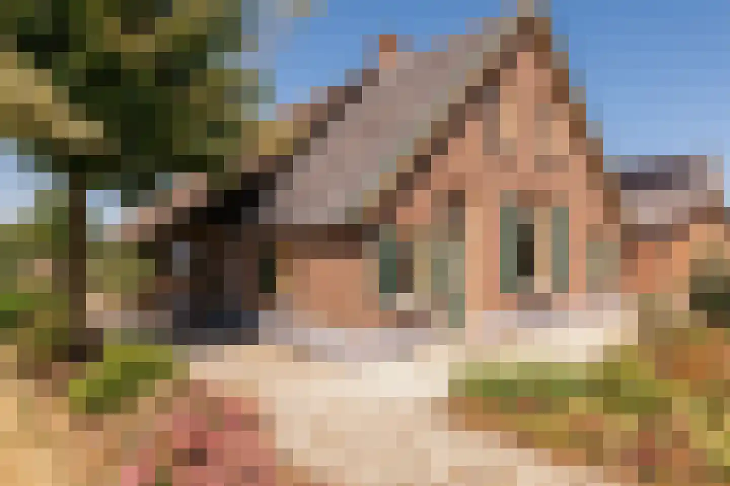 Donkerstraat 4 Heesselt thumbnail 4