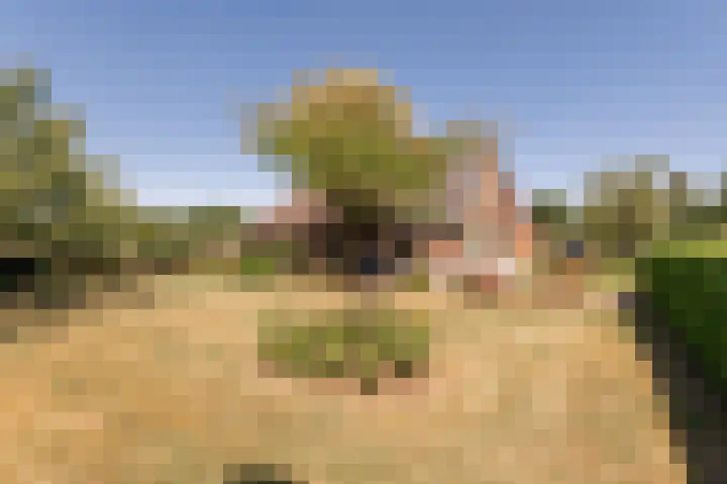 Donkerstraat 4 Heesselt thumbnail 5