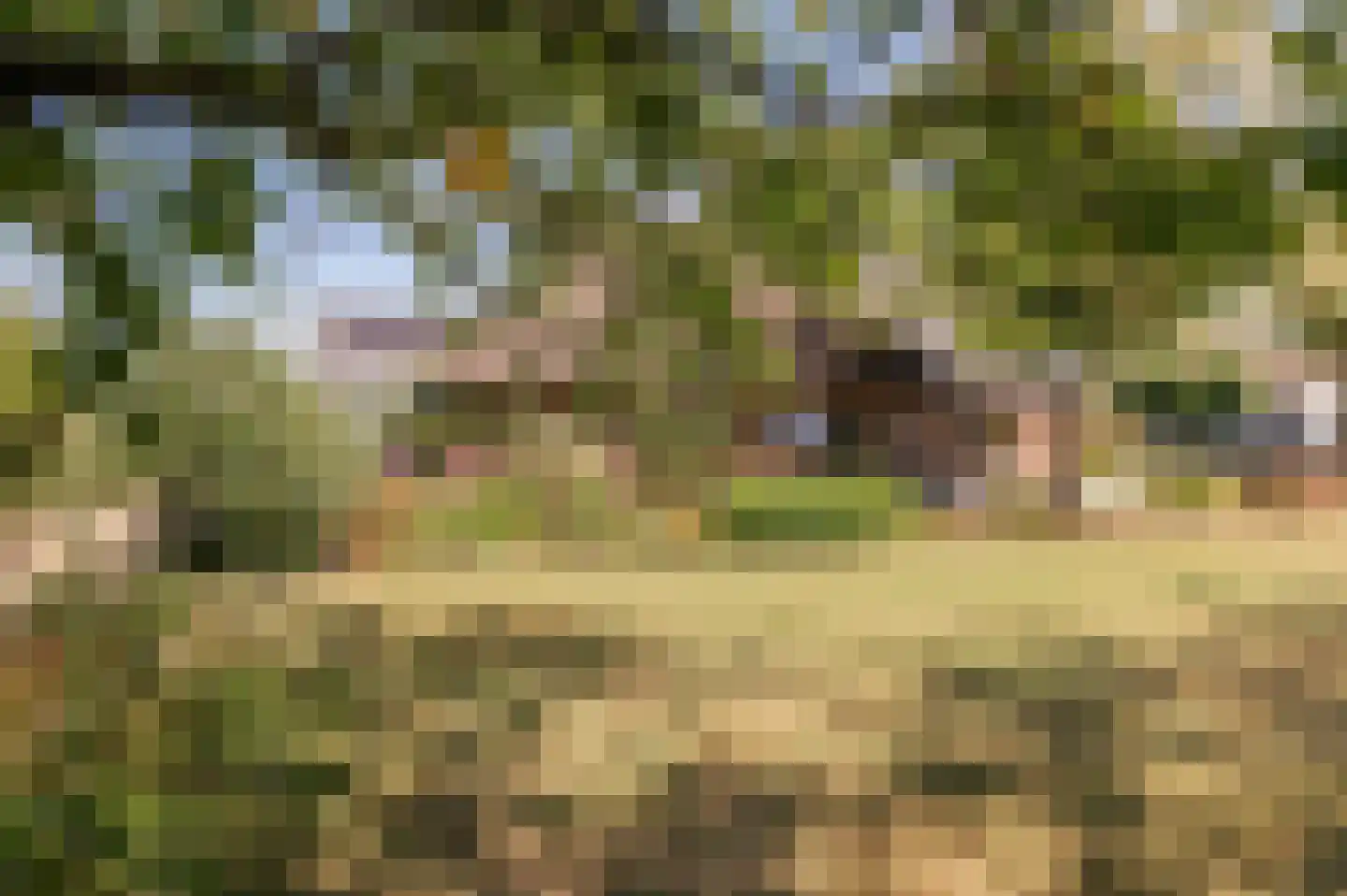 Donkerstraat 4 Heesselt thumbnail 6