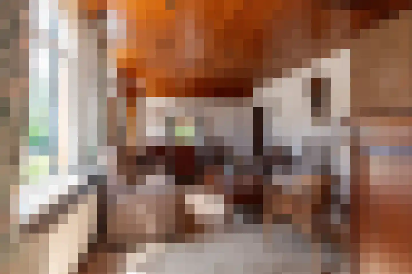 Donkerstraat 4 Heesselt thumbnail 9