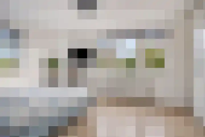 Donkerstraat 40 Wijchen thumbnail 21