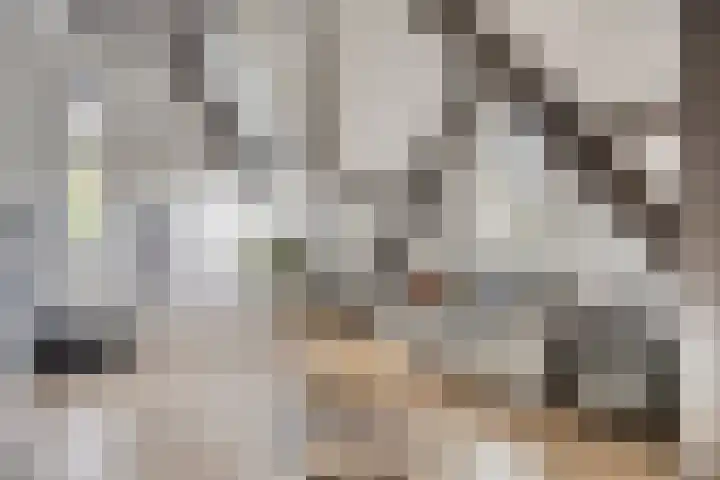 Donkerstraat 40 Wijchen thumbnail 30