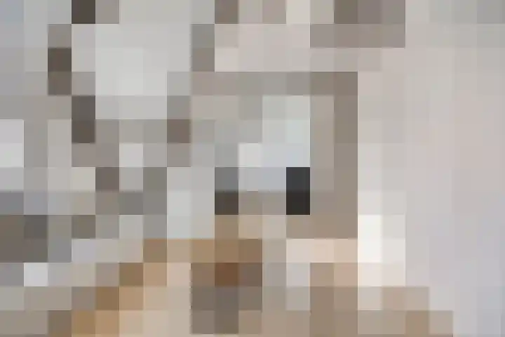 Donkerstraat 40 Wijchen thumbnail 31