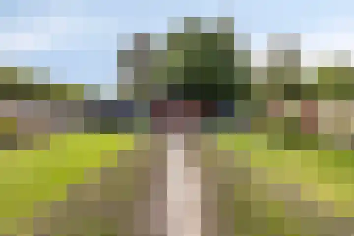 Donkerstraat 40 Wijchen thumbnail 34