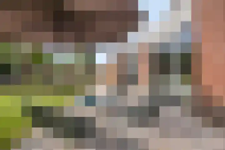 Donkerstraat 40 Wijchen thumbnail 45