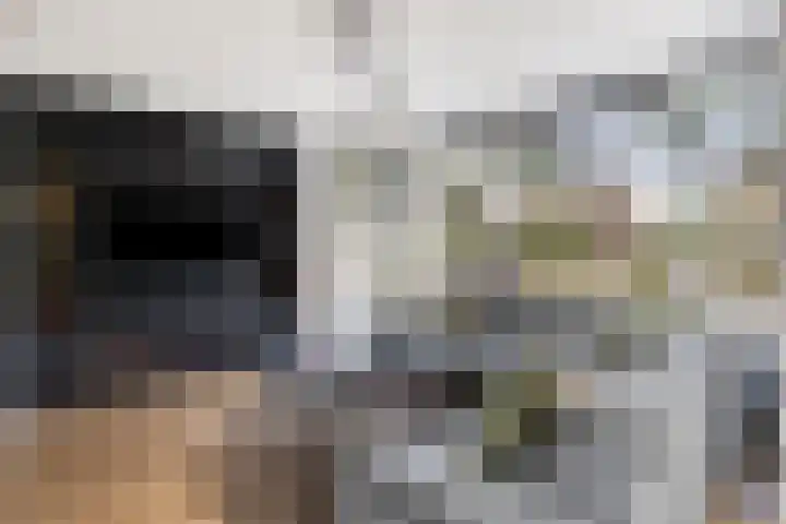 Donkerstraat 40 Wijchen thumbnail 7