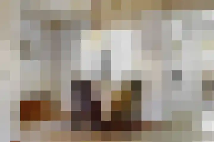 Donkerstraat 45 Heesselt thumbnail 6
