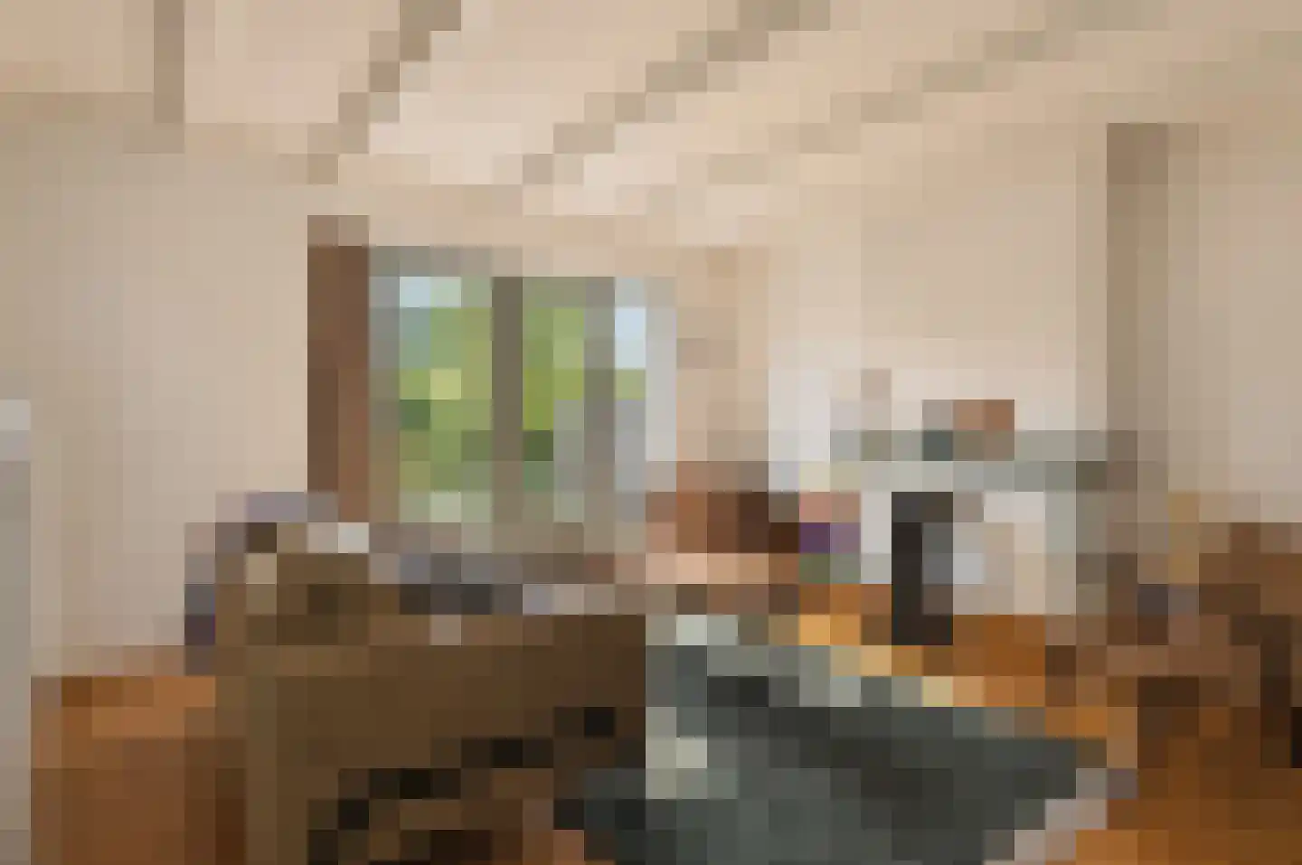 Donkerstraat 51 Heesselt thumbnail 12