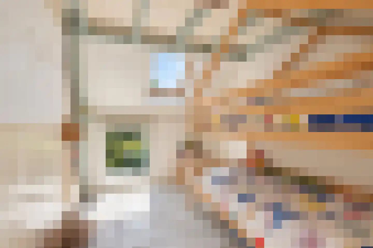 Donkerstraat 51 Heesselt thumbnail 15