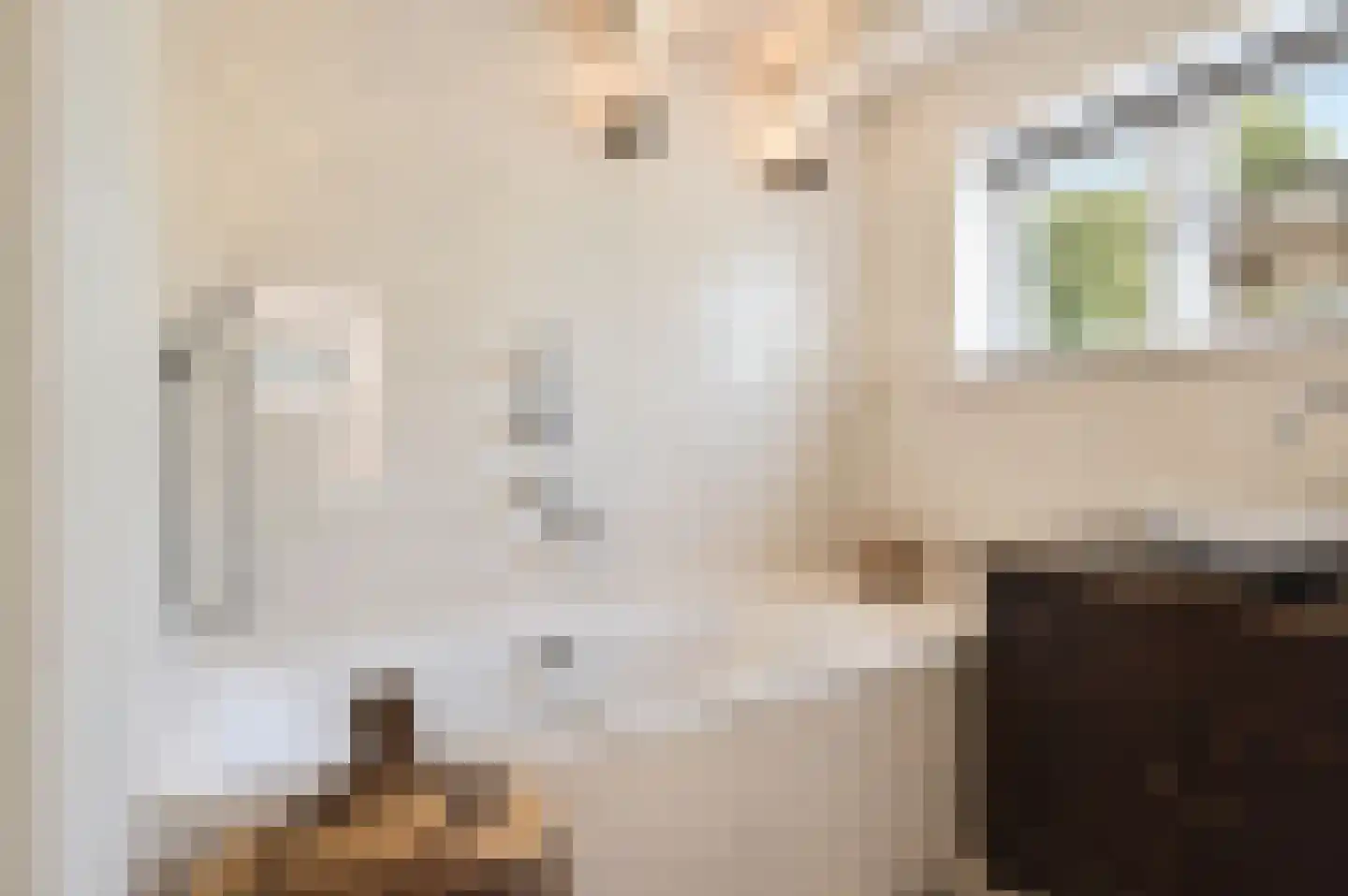 Donkerstraat 51 Heesselt thumbnail 5