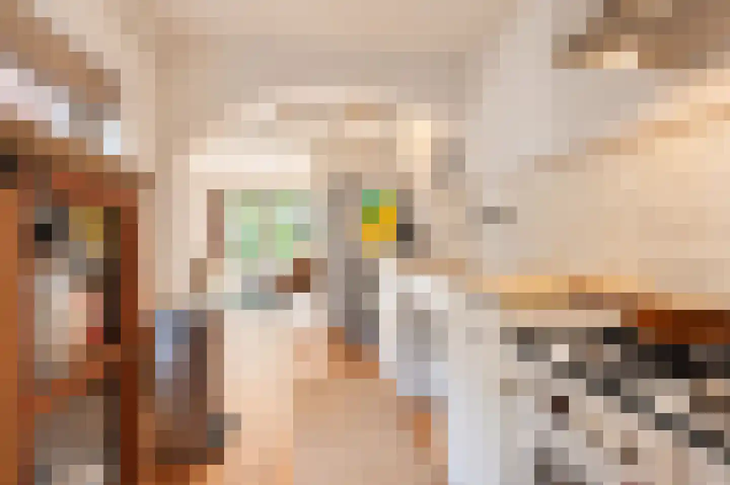 Donkerstraat 51 Heesselt thumbnail 8