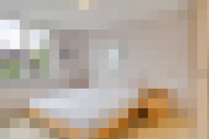 Donkerstraat 8 Goes thumbnail 12