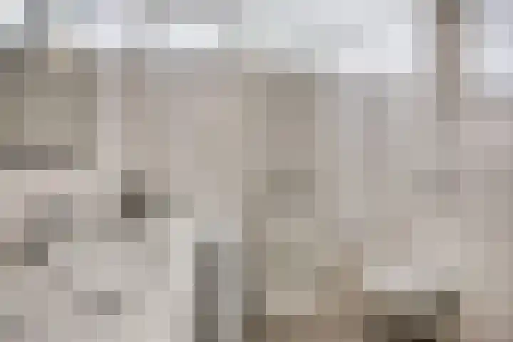 Donkerstraat 8 Goes thumbnail 14