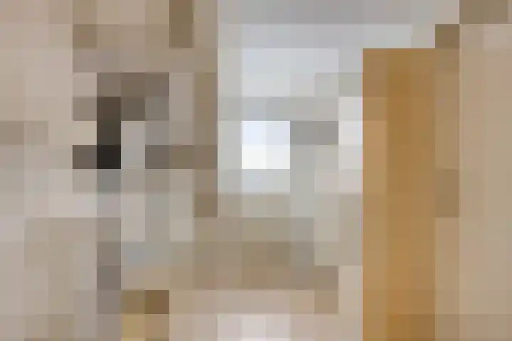 Donkerstraat 8 Goes thumbnail 18