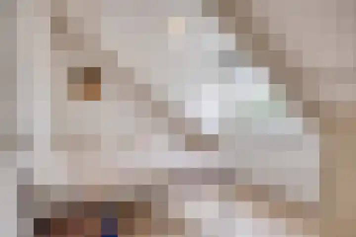 Donkerstraat 8 Goes thumbnail 19