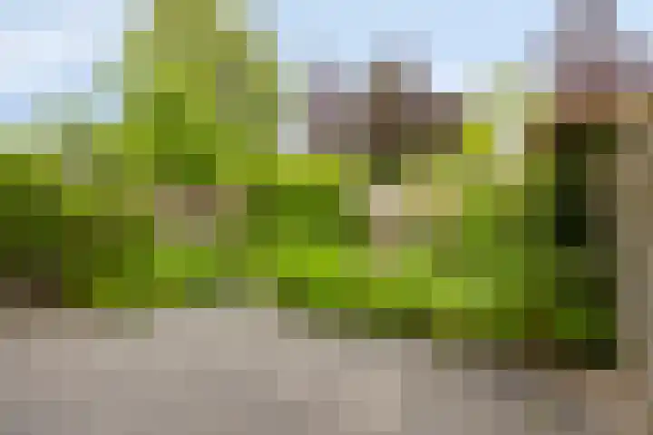 Donkerstraat 8 Goes thumbnail 21