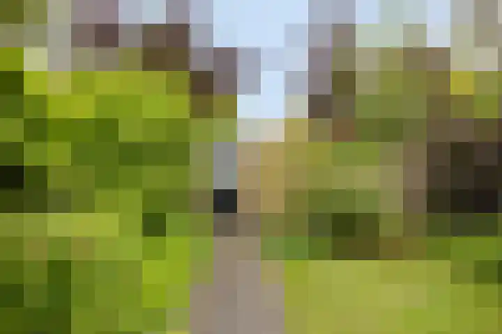 Donkerstraat 8 Goes thumbnail 23