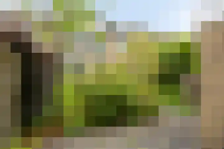 Donkerstraat 8 Goes thumbnail 24