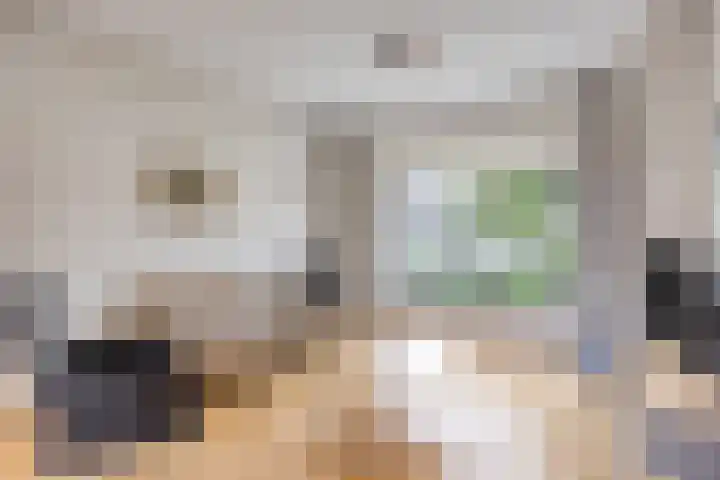 Donkerstraat 8 Goes thumbnail 5