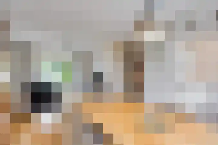 Donkerstraat 8 Goes thumbnail 8