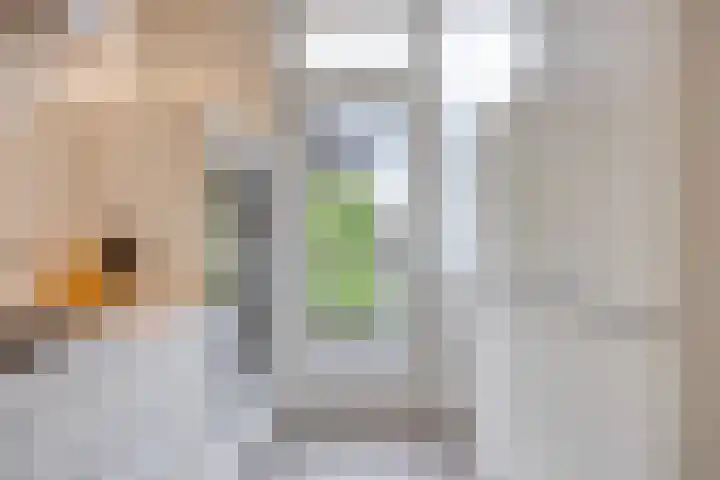 Donkerstraat 8 Goes thumbnail 9