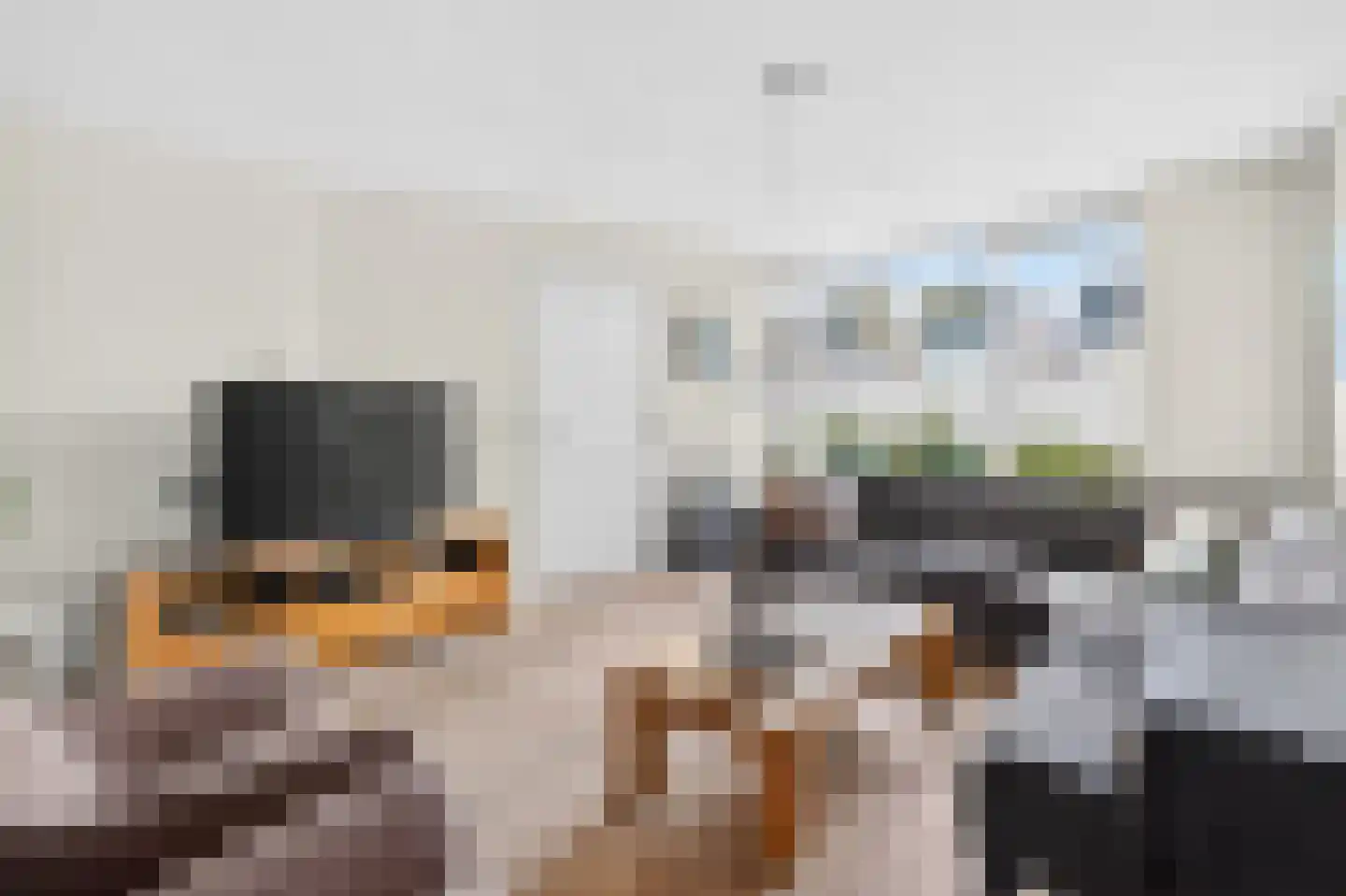 Donkervoort 29 Nuenen thumbnail 8