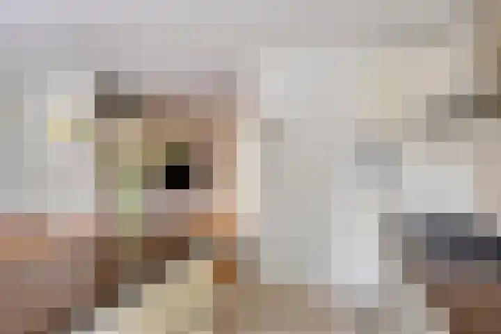 Donkervoort 45 Nuenen thumbnail 12
