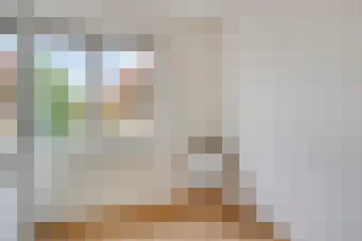 Donkervoort 45 Nuenen thumbnail 18