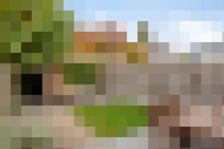 Donkervoort 45 Nuenen thumbnail 24