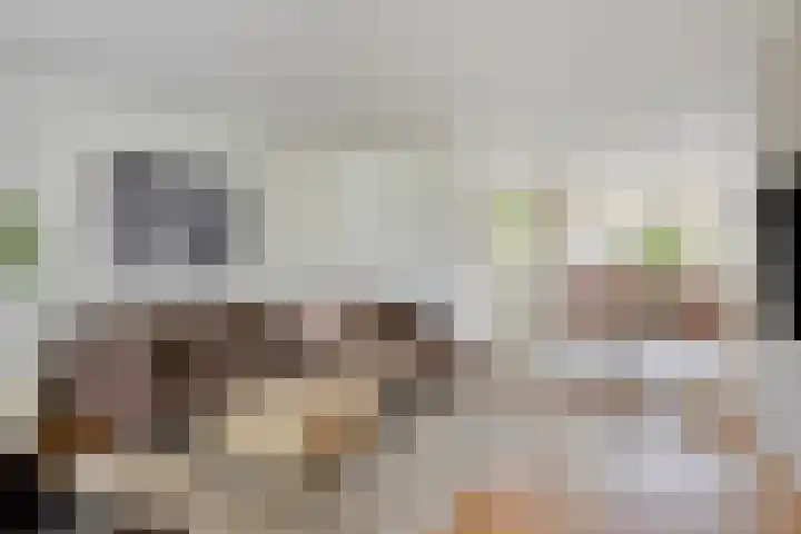 Donkervoort 45 Nuenen thumbnail 4