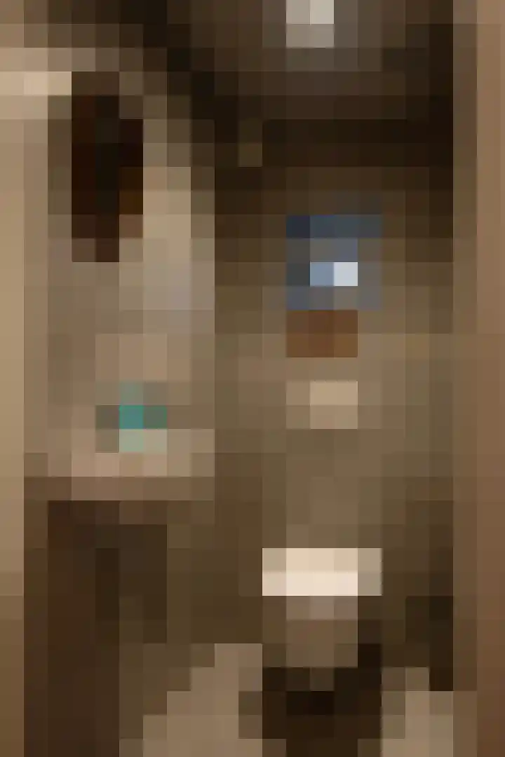 Donkervoorterweg 12 Barneveld thumbnail 13