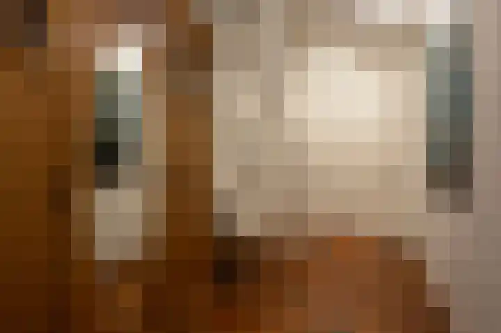 Donkervoorterweg 12 Barneveld thumbnail 14