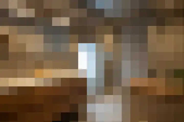Donkervoorterweg 12 Barneveld thumbnail 15