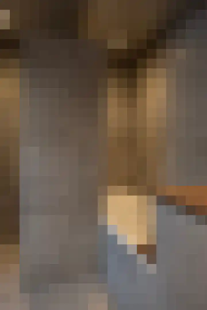 Donkervoorterweg 12 Barneveld thumbnail 16