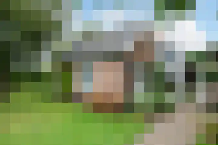 Donkervoorterweg 12 Barneveld thumbnail 27