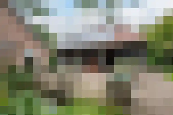 Donkervoorterweg 12 Barneveld thumbnail 41