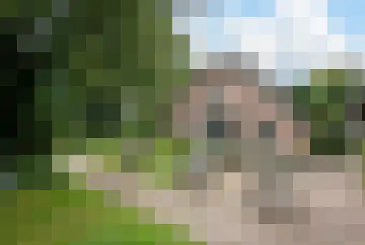 Donkervoorterweg 12 Barneveld thumbnail 44