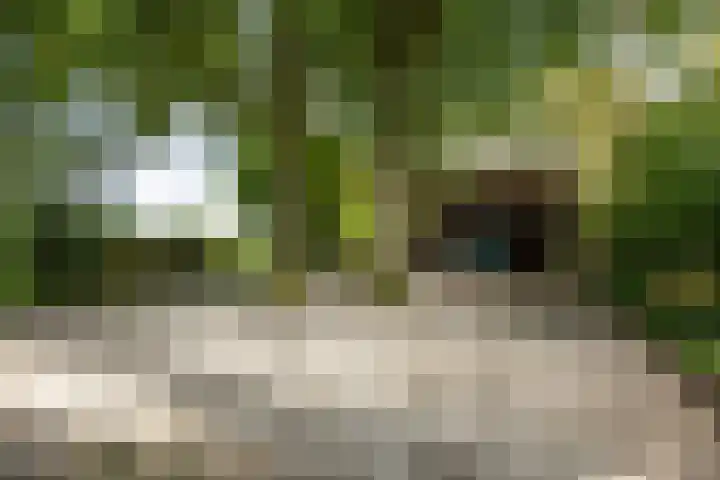 Donkervoorterweg 12 Barneveld thumbnail 45