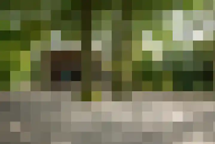 Donkervoorterweg 12 Barneveld thumbnail 46