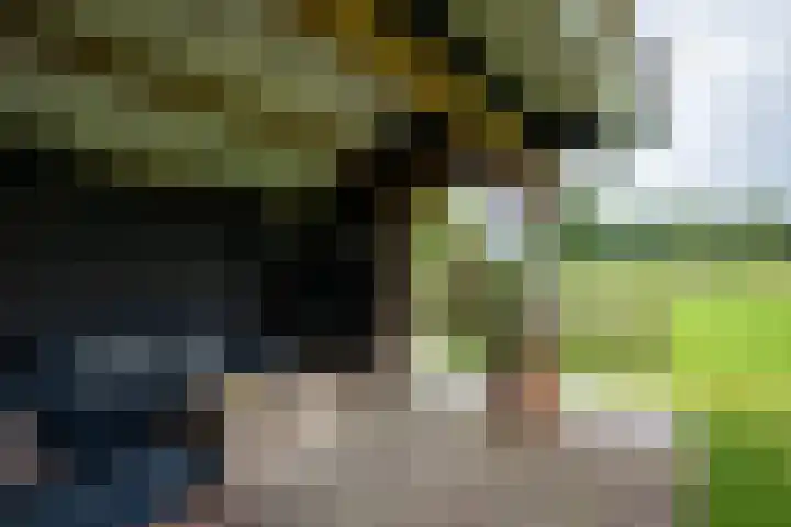 Donkervoorterweg 12 Barneveld thumbnail 52