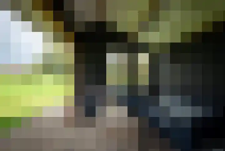 Donkervoorterweg 12 Barneveld thumbnail 53