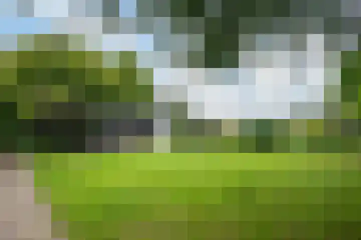 Donkervoorterweg 12 Barneveld thumbnail 54