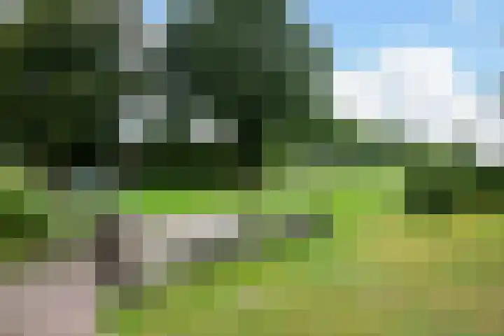 Donkervoorterweg 12 Barneveld thumbnail 55