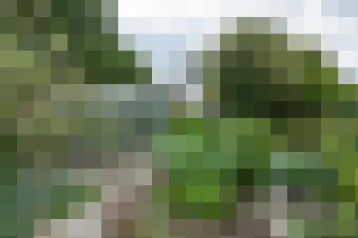 Donkervoorterweg 12 Barneveld thumbnail 56