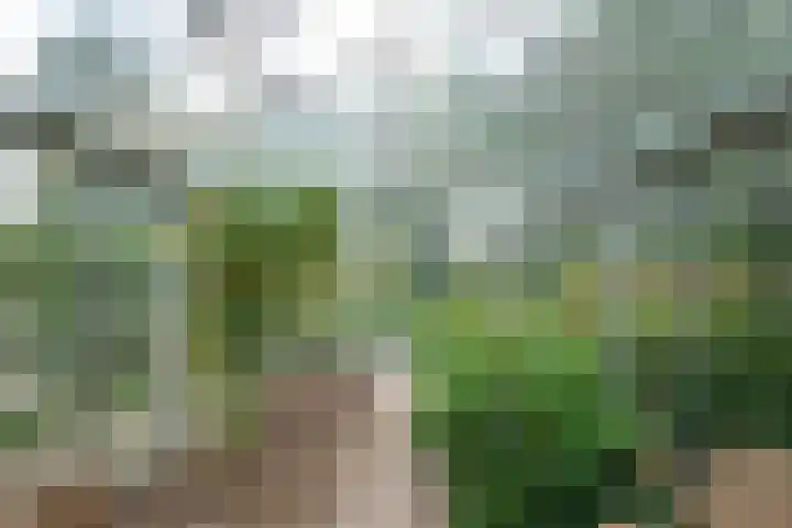 Donkervoorterweg 12 Barneveld thumbnail 57