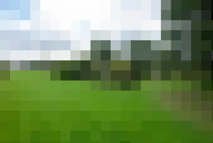 Donkervoorterweg 12 Barneveld thumbnail 58