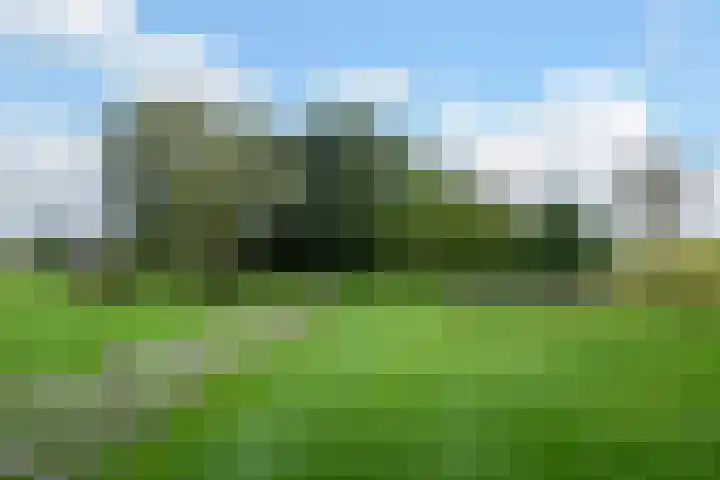 Donkervoorterweg 12 Barneveld thumbnail 59