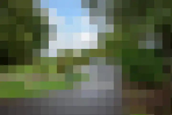 Donkervoorterweg 12 Barneveld thumbnail 60