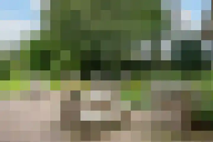 Donkervoorterweg 12 Barneveld thumbnail 62