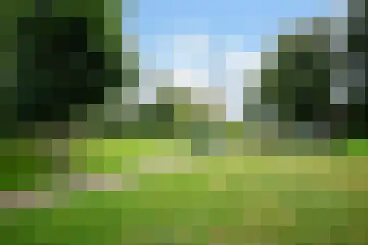Donkervoorterweg 12 Barneveld thumbnail 63